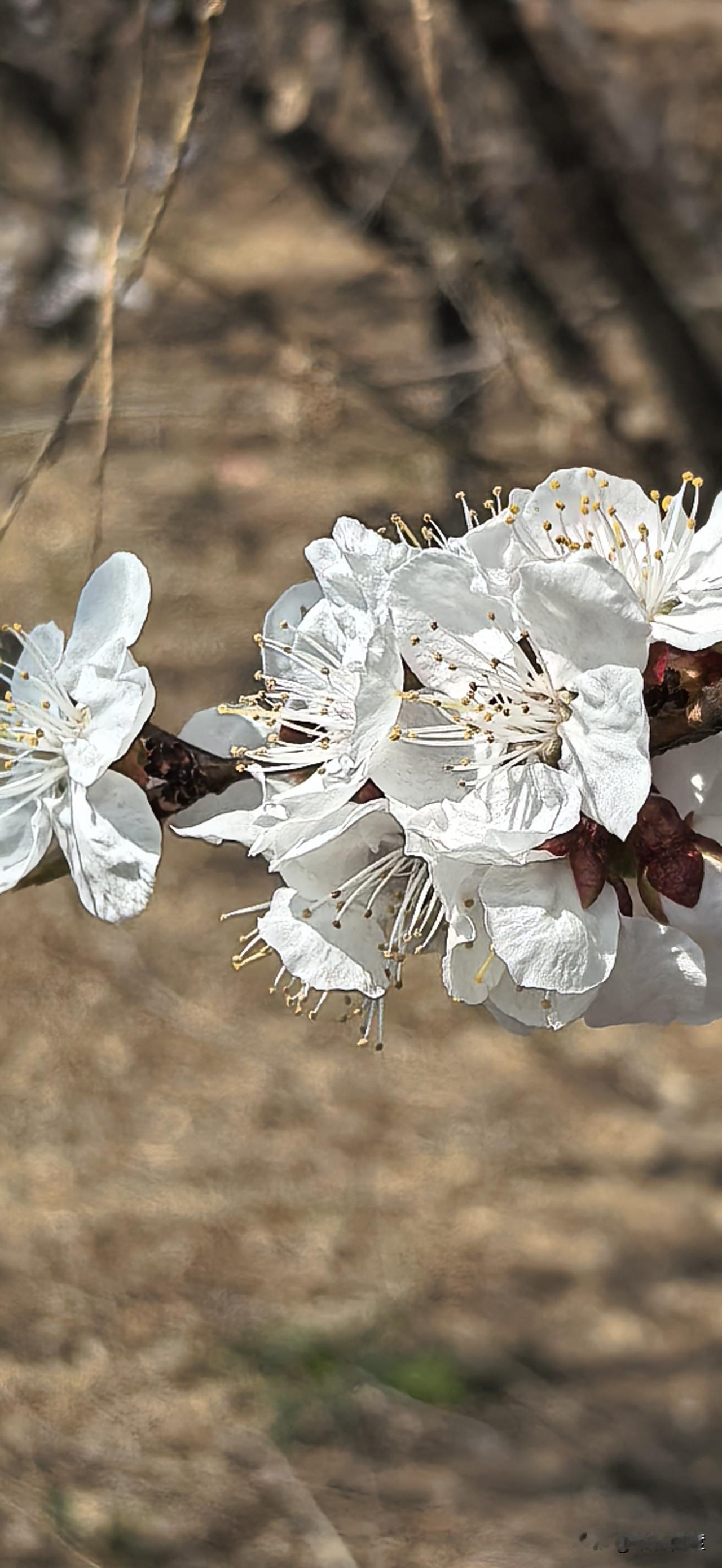 好心不一定就有好报，还有好心办坏事这也不足为奇。
有的人自甘堕落，即使神仙也拯救
