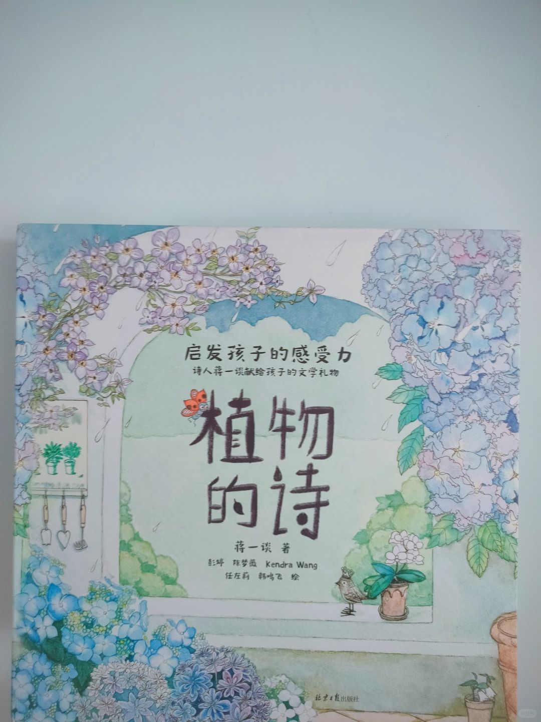 植物世界里的诗意与艺术💐