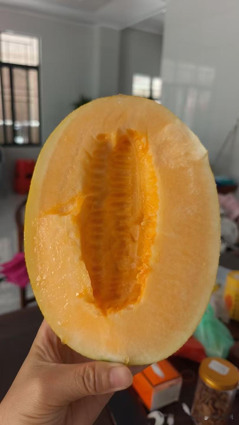 哈密瓜水分超足，咬一口，清甜的汁水在嘴里爆开，瞬间驱散暑气。而且它甜度恰到好处，