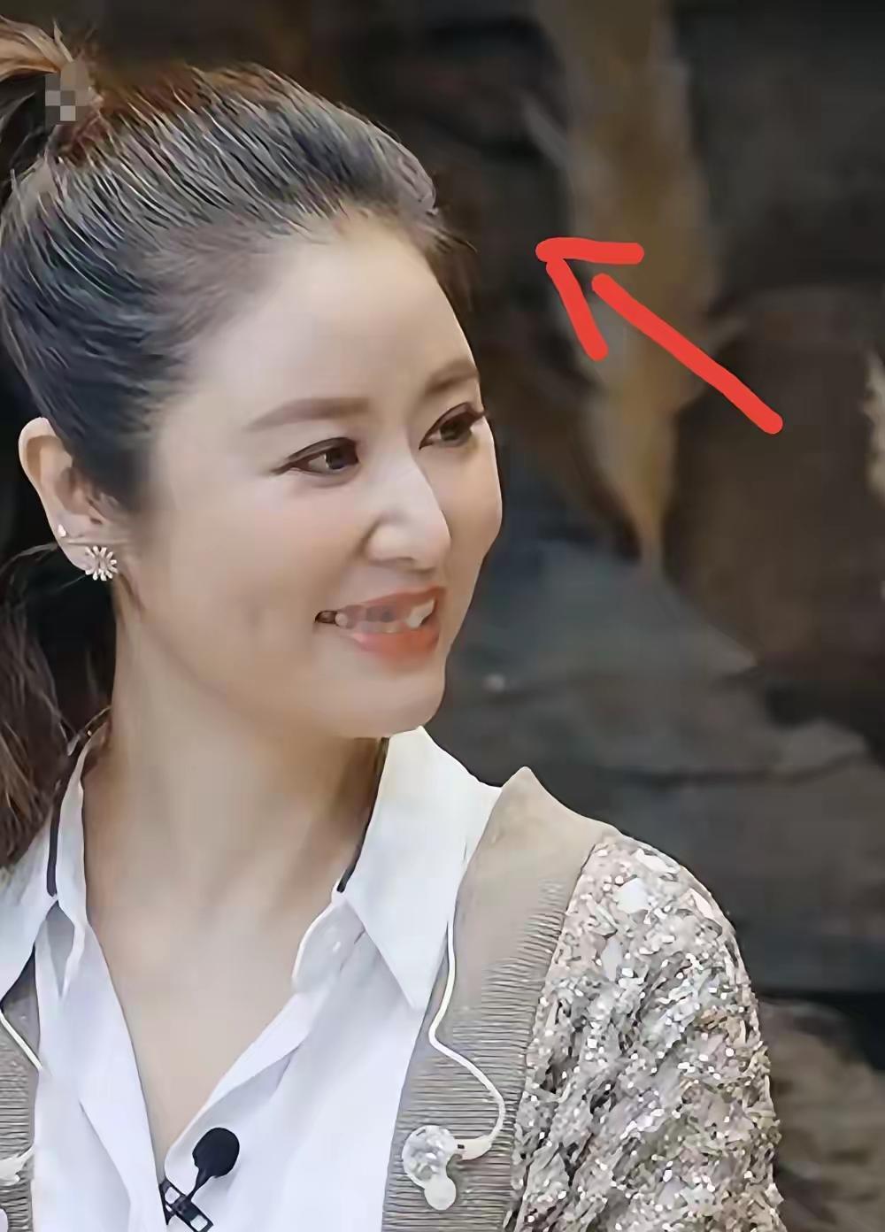 林心如49岁发际线依然稳如泰山，生过孩子还能这么年轻？
林心如即将迎来50岁生日