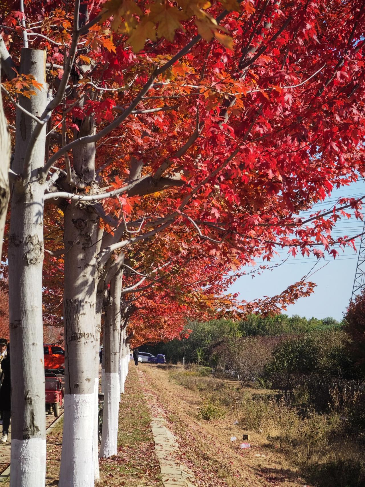 中国就是人才太多了，竞争太激烈，这种情况下，只有少数人能获得成功。所以，很多人愿