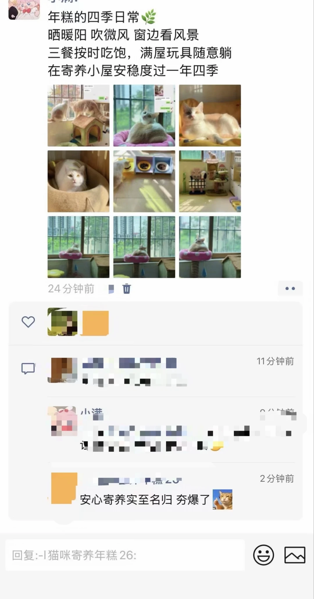 寄养最高评价