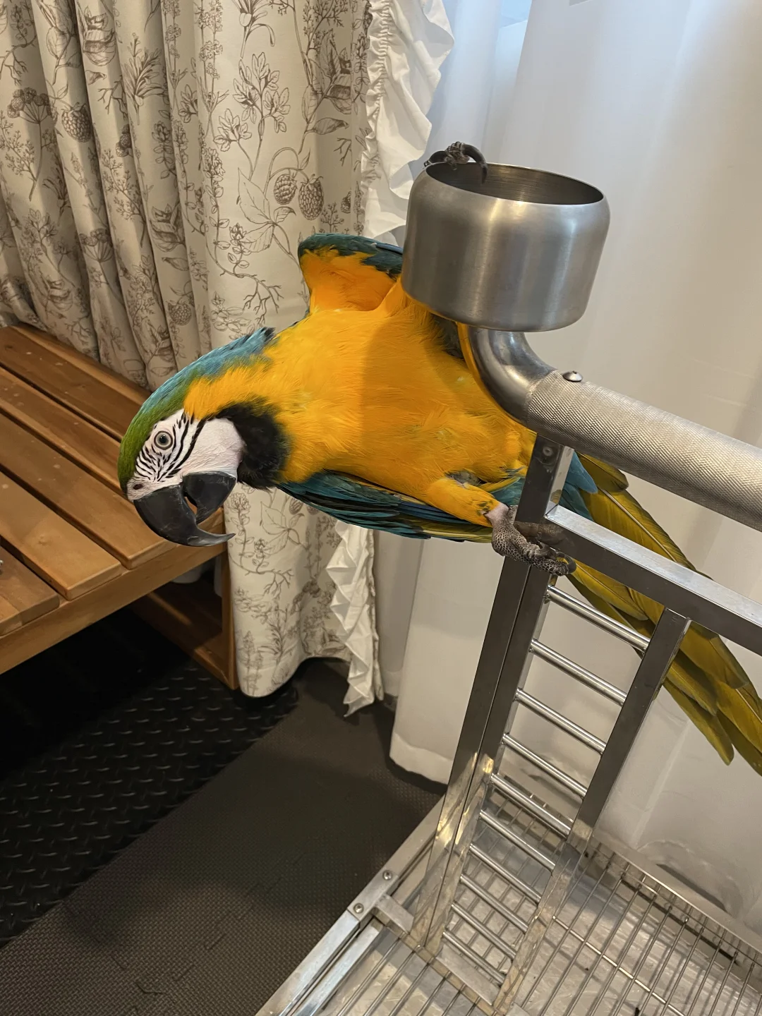 洗香香后颜值都变了
