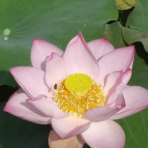 百年树仁千年树理