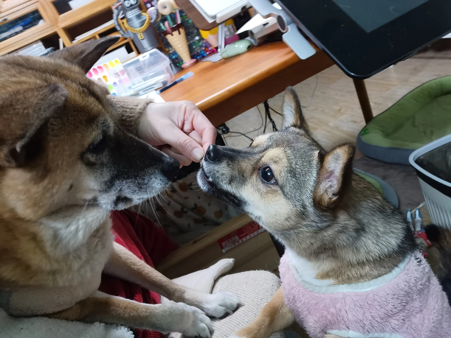 没钱就不要生二胎