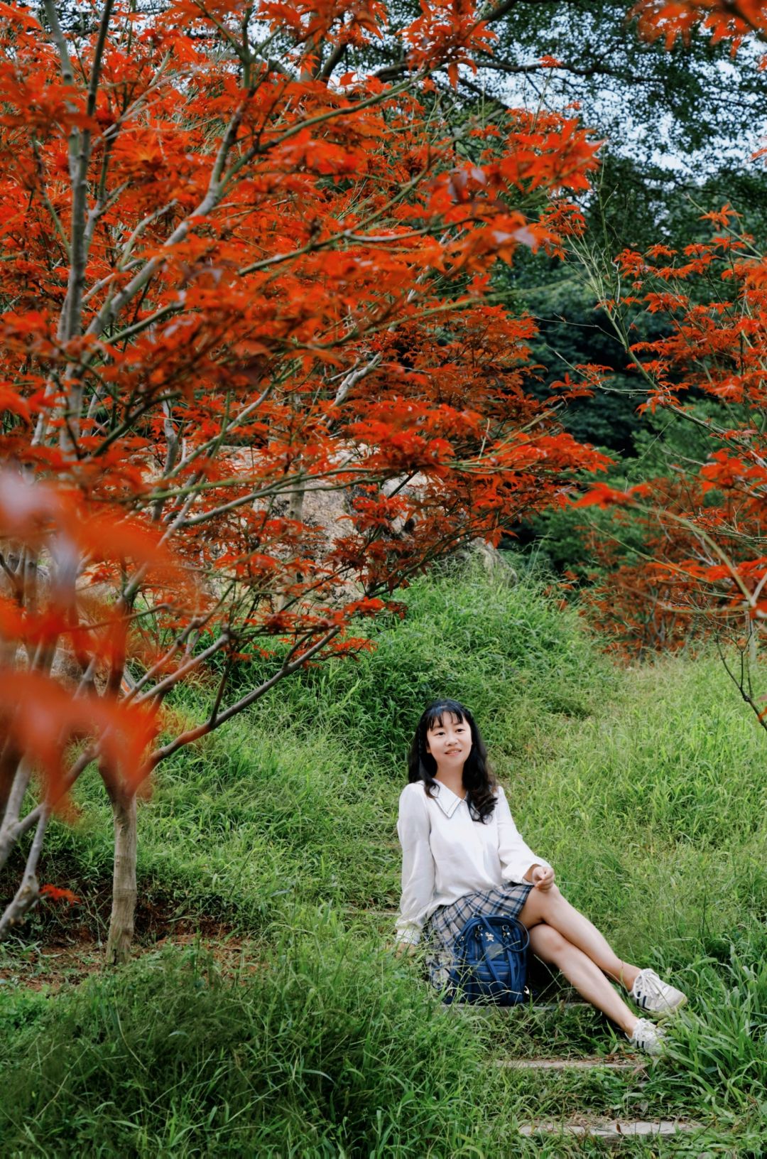 10.8实拍🍁帽峰山红叶林！入秋的广州如画