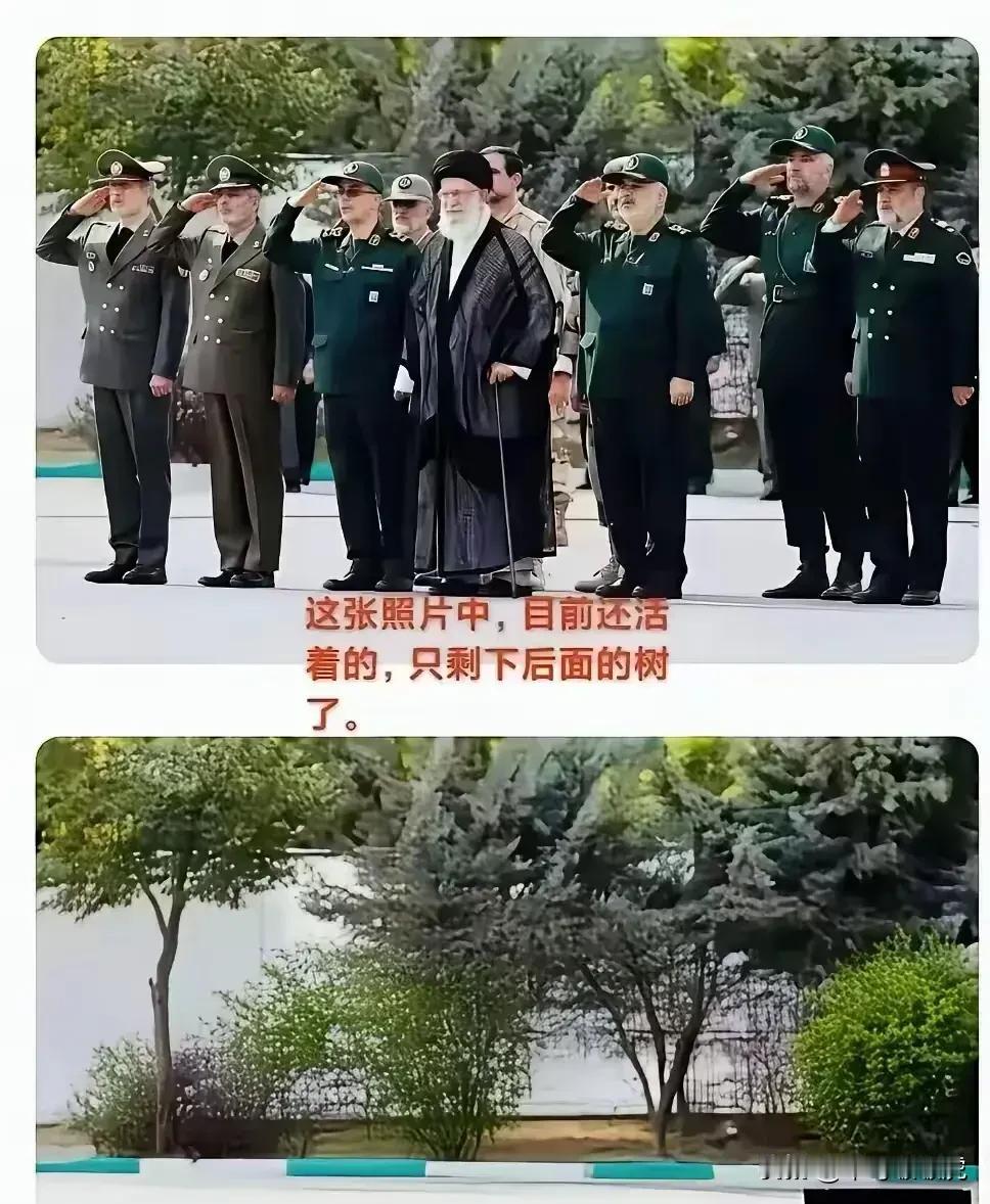 时间流逝慢慢变味，树还是绿的，人已经不在这个世界！