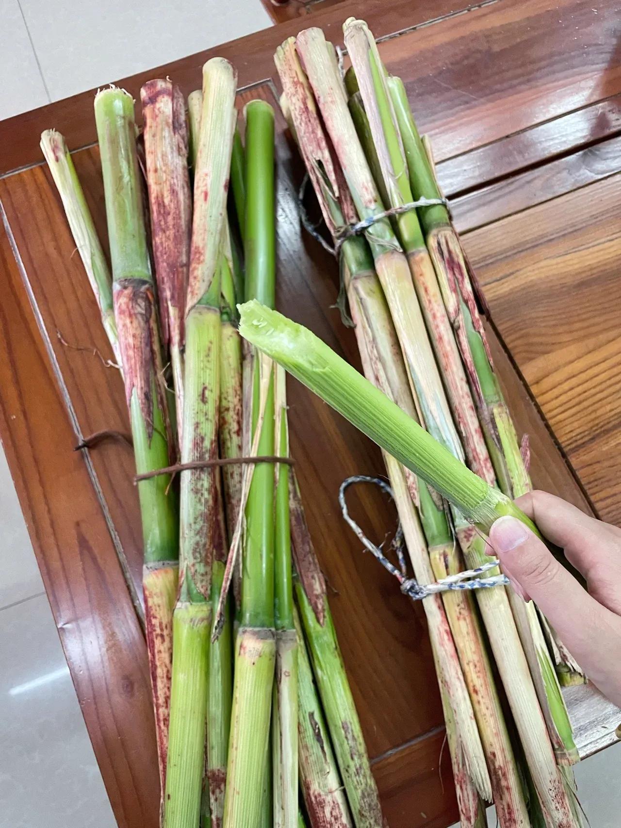 太神奇了！竟然玉米秸秆可以食用？
这次回老家，外婆给了我一些玉米秸秆，说可以食用