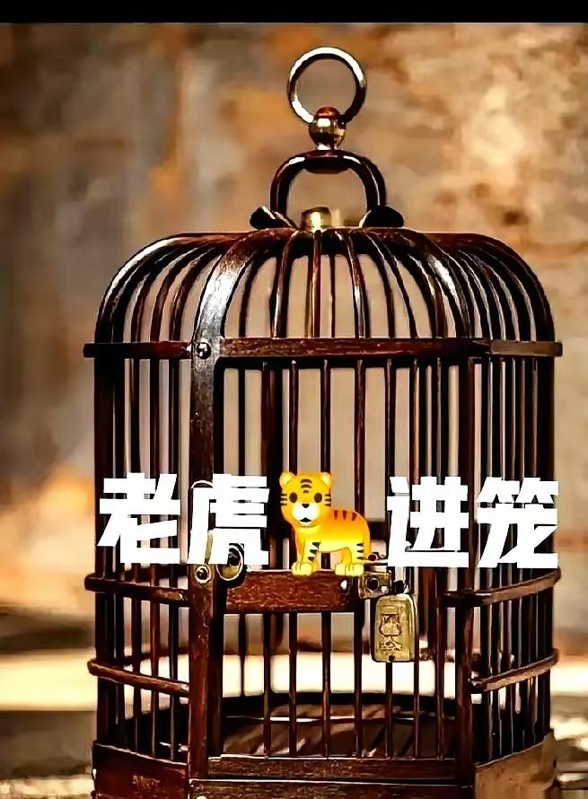 今天真是气炸了！花大价钱请的律师，手里拿着关键的病历和录音，转头就把这些东西给了