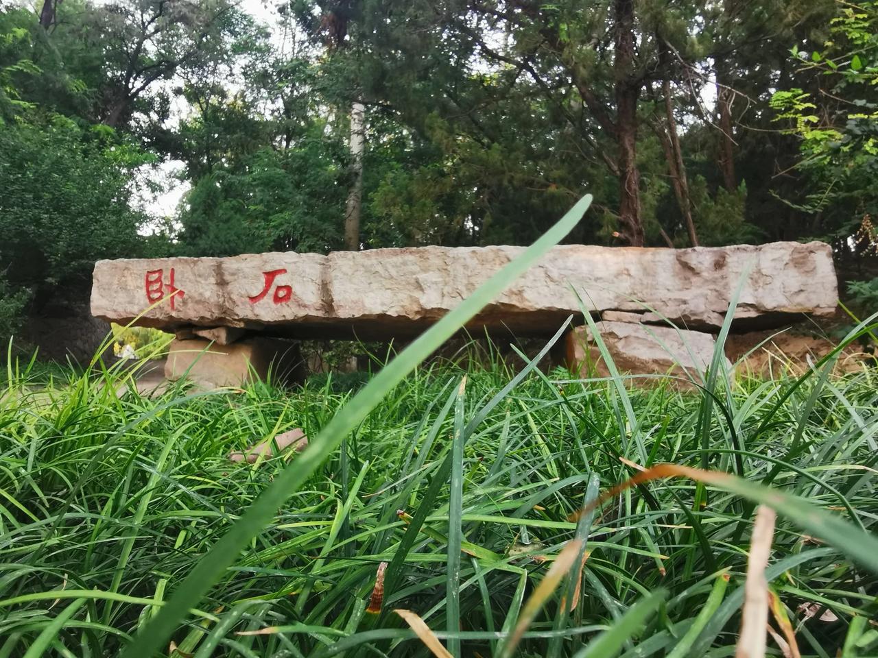 上联：“春风拂柳千丝绿”求下联