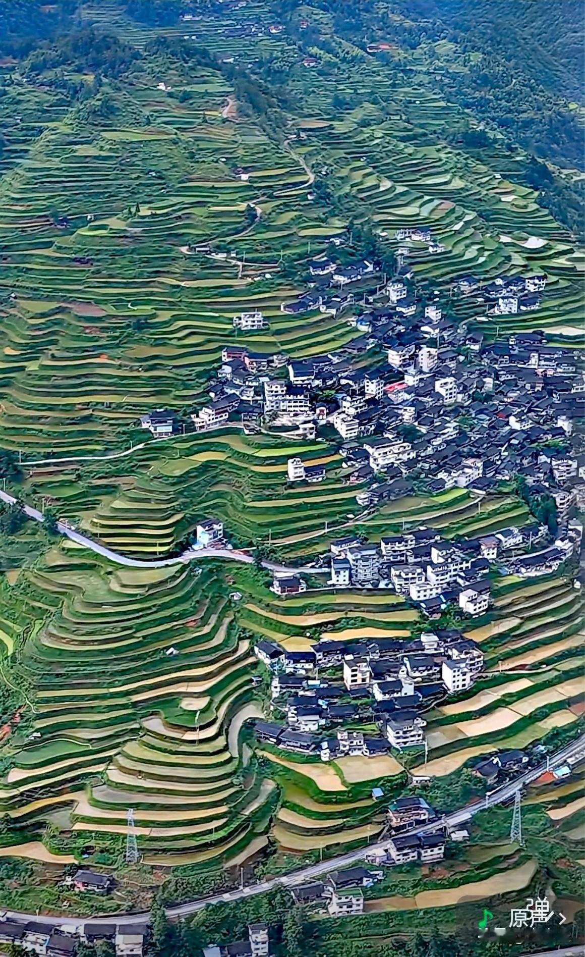 分享我拍的乡村美景，梯田、房子、道路构成如画风景。像垫江的九龙梯田，从界枫场口进