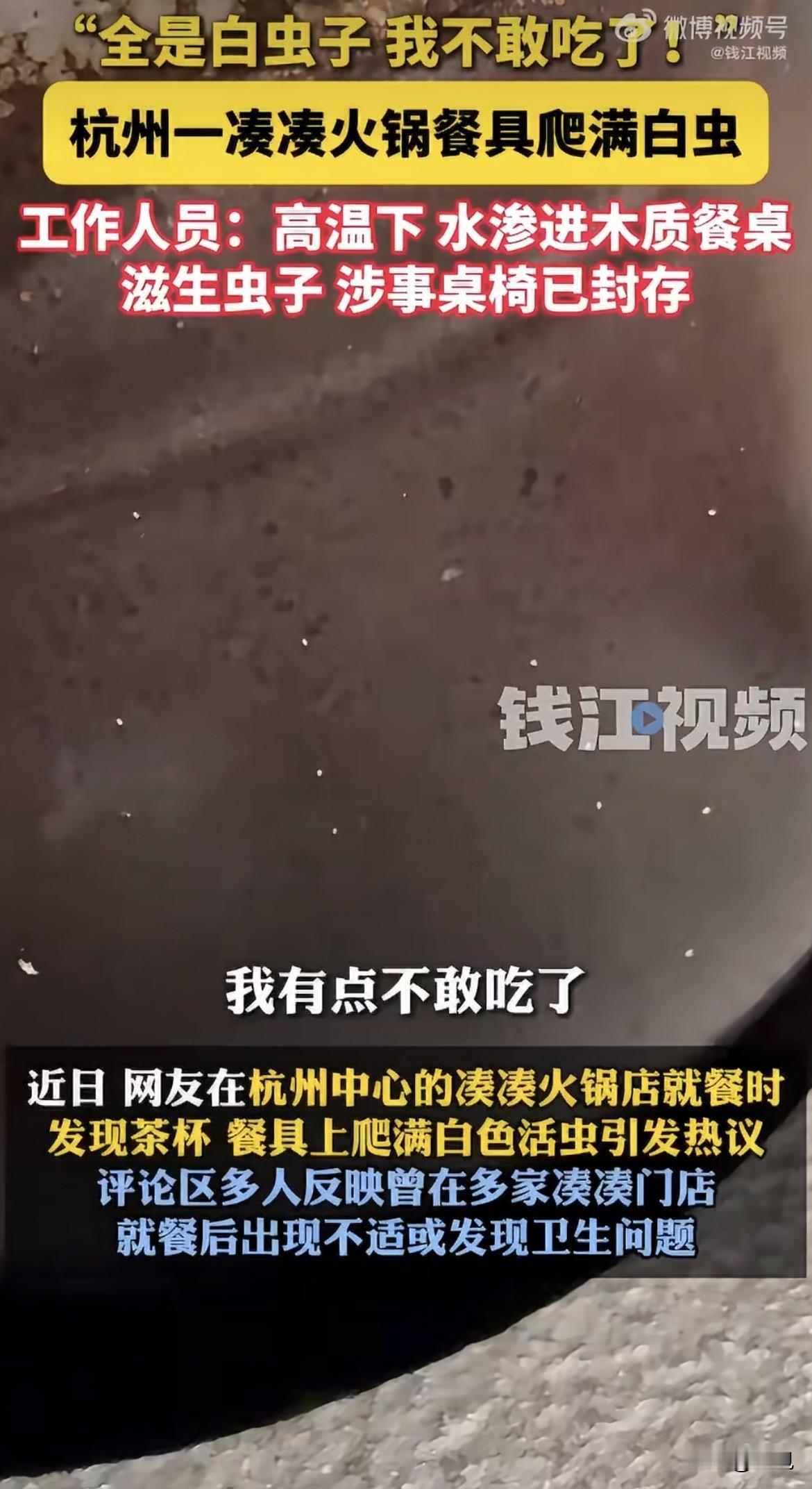 杭州中心凑凑火锅那个事，很多人盯着虫子看。

我盯着店员那句话看了半天。

记者