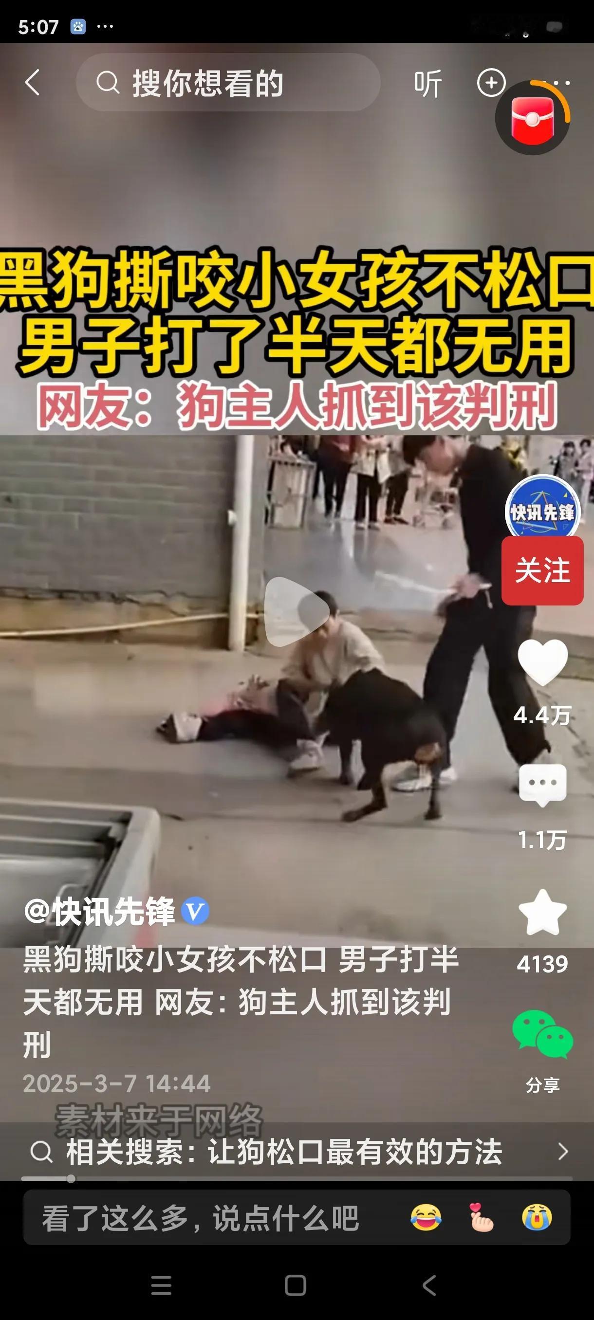 这个狗主人太让人愤怒了！他的狗死死咬住小女孩。狗主人只是用一根指头粗的小棍子打狗