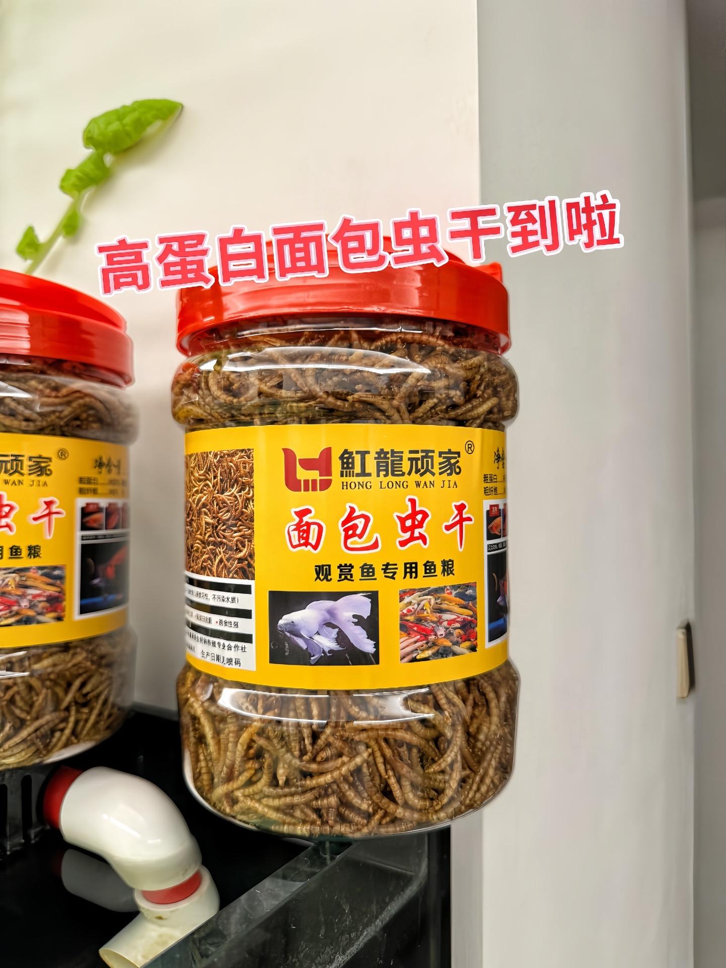 鱼宝们的美味时刻到啦！这款面包虫干鱼粮，是大自然馈赠的营养炸弹！每一口...