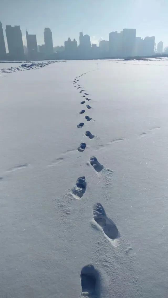 大雪纷飞落满天，黑龙江畔银装添。
寒风凛冽吹不尽，豪情壮志迈步前。
江水滔滔东流