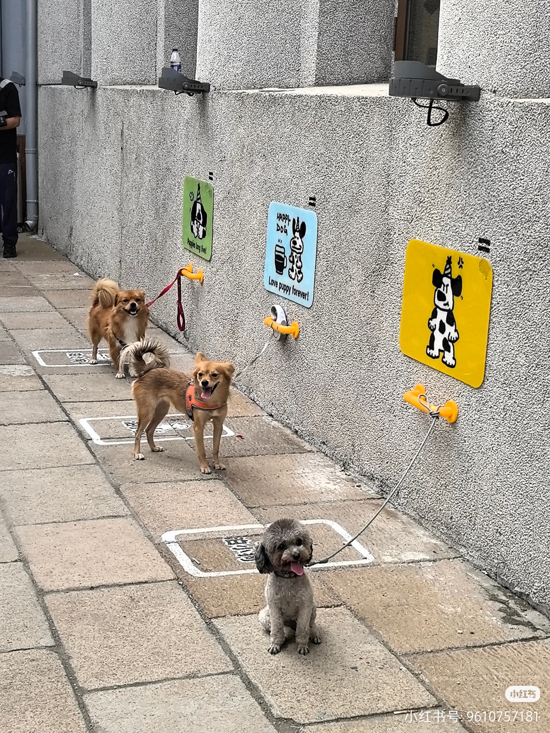 博物馆专门设停狗处也太贴心了吧！养宠人士逛展再也不用纠结没人看狗狗，既能安心看文