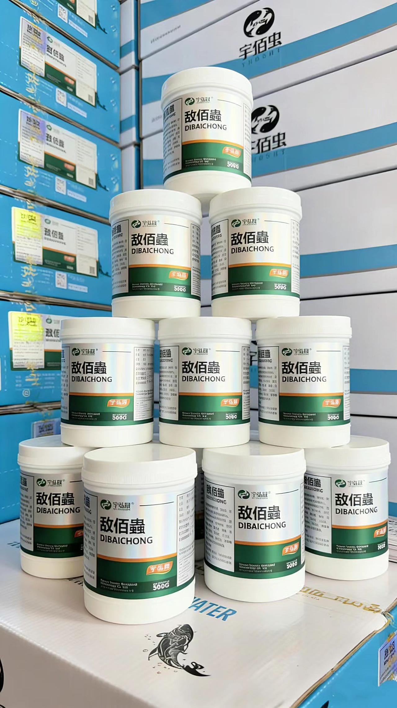 敌佰蟲 鱼塘养殖 鲢鱼 鲤鱼 草鱼