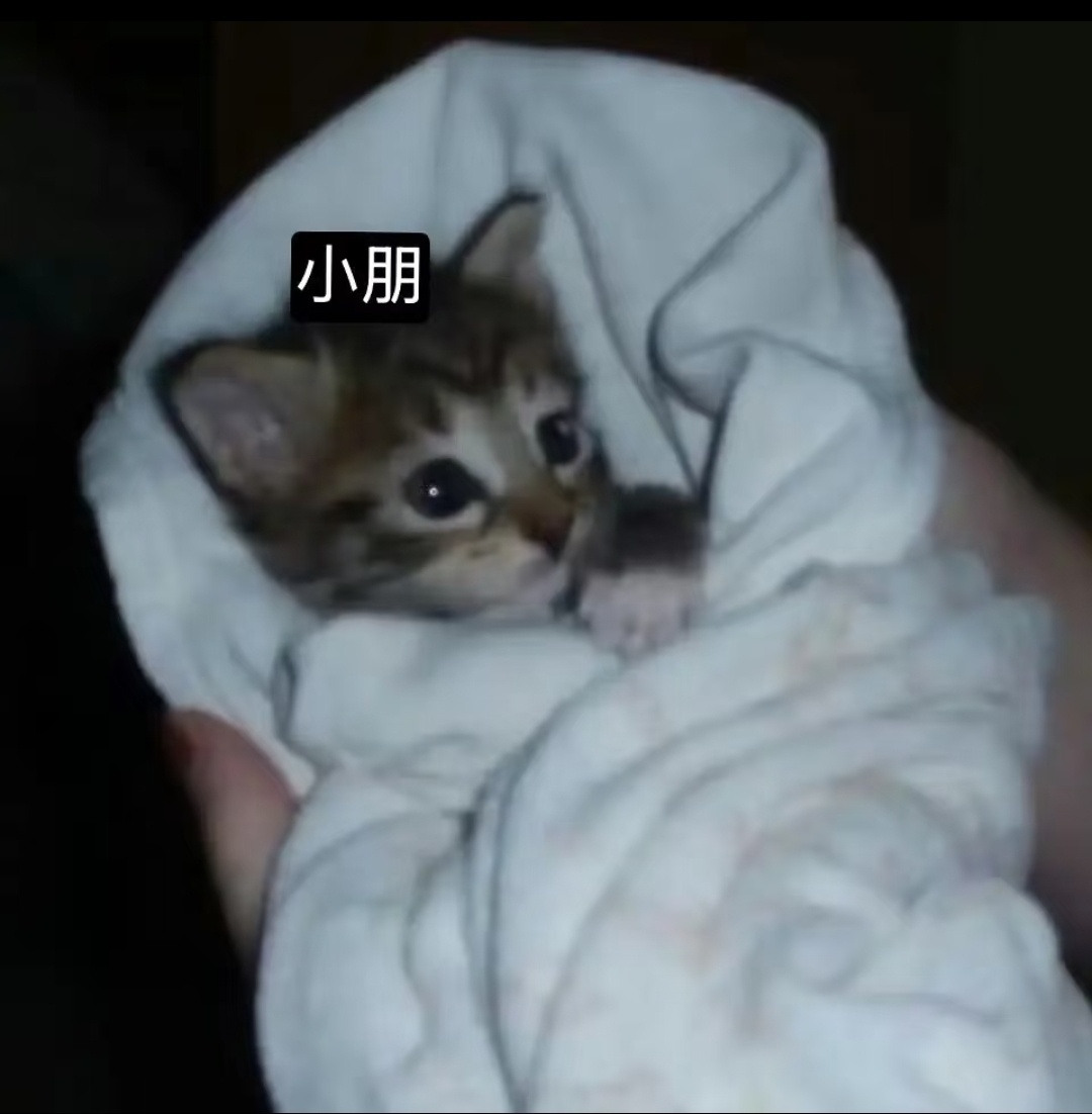 我感觉朋姐这种不管他是表演型人格还是泪失禁体质，他要是首唱这首歌肯定要眼泪汪汪的