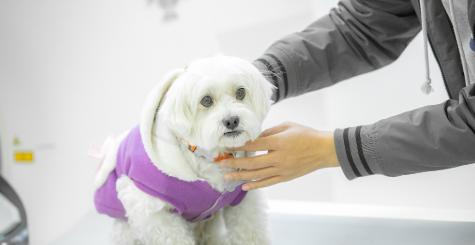 高考分一出来，有人喜笑颜开，有人一脸懵圈。
特别是刚过专科线的男生，自己心里没底