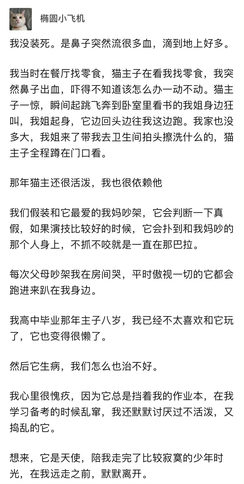 在宠物面前装死是种怎样的体验？ ​ ​​​