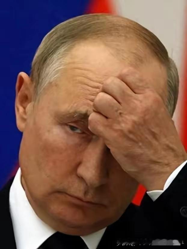 谈判结果出来了！
乌克兰拒绝认怂，英法德提出新方案，特朗普表态。

原本被特朗普