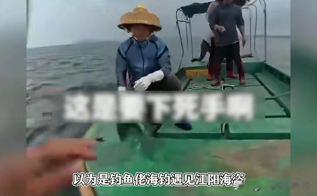 钓鱼佬以为遇上海盗，结果是养殖户为百万鱼苗“硬核”护崽
 
起因俩钓鱼佬划着橡皮