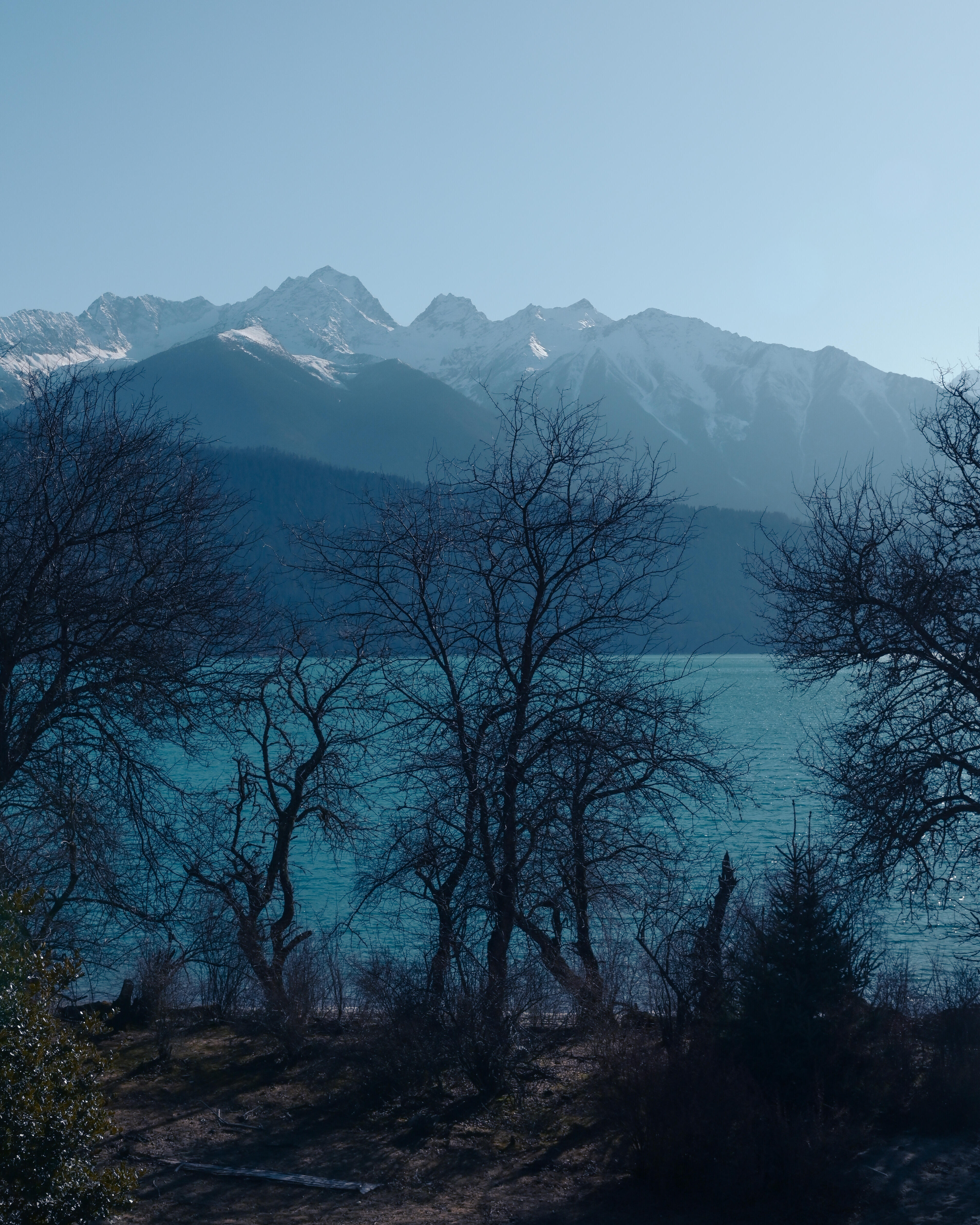 我发了一张雪峰的照片 