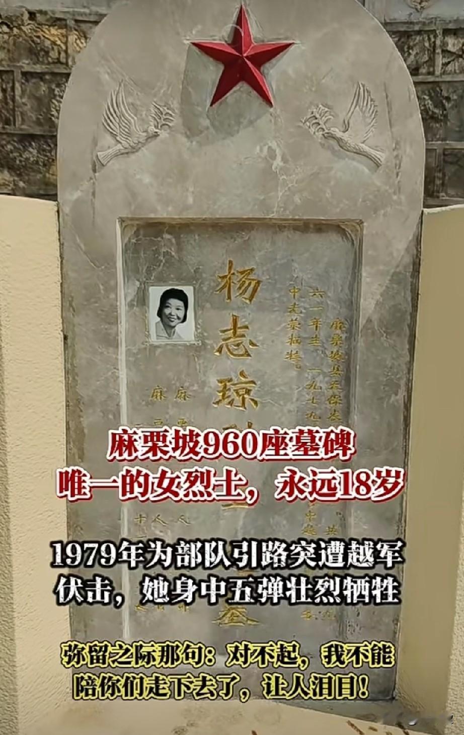 在麻栗坡烈士陵园数百座墓碑之间，藏着一张年轻女孩的笑脸。

她叫杨志琼，也是这座