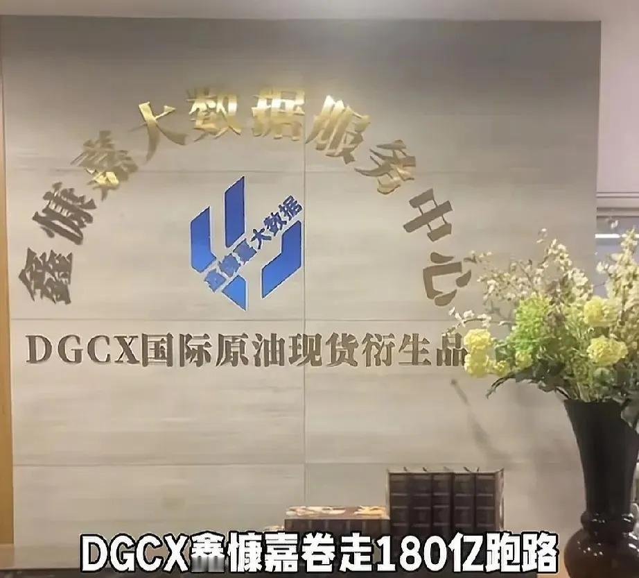 第一次听说鑫慷嘉，全名叫：鑫慷嘉大数据服务中心。
按他们自己说法是做国际原油现货