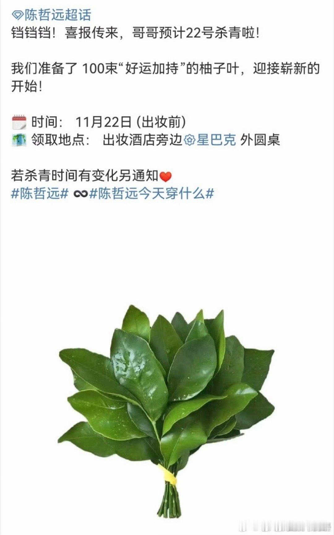 陈哲远江山为聘杀青应援，哈哈， 