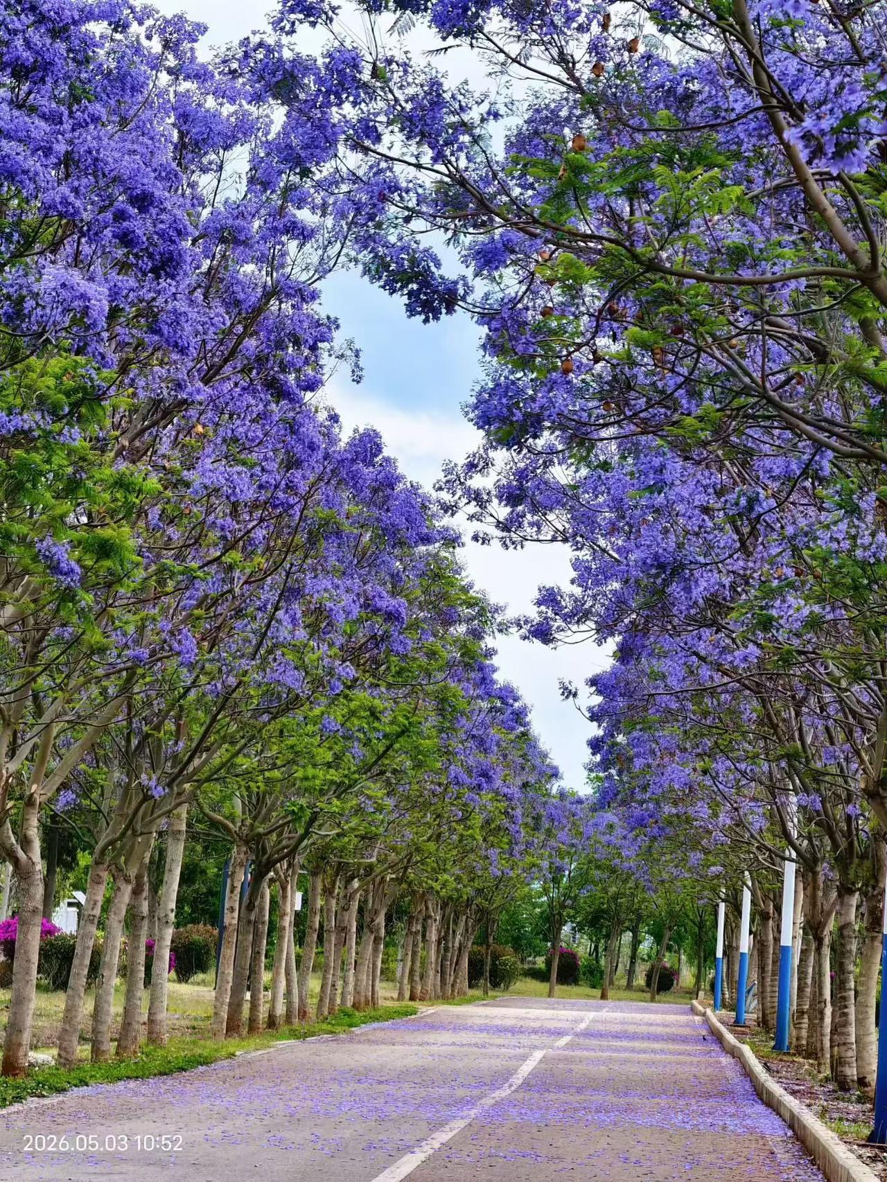 拍摄大自然美景