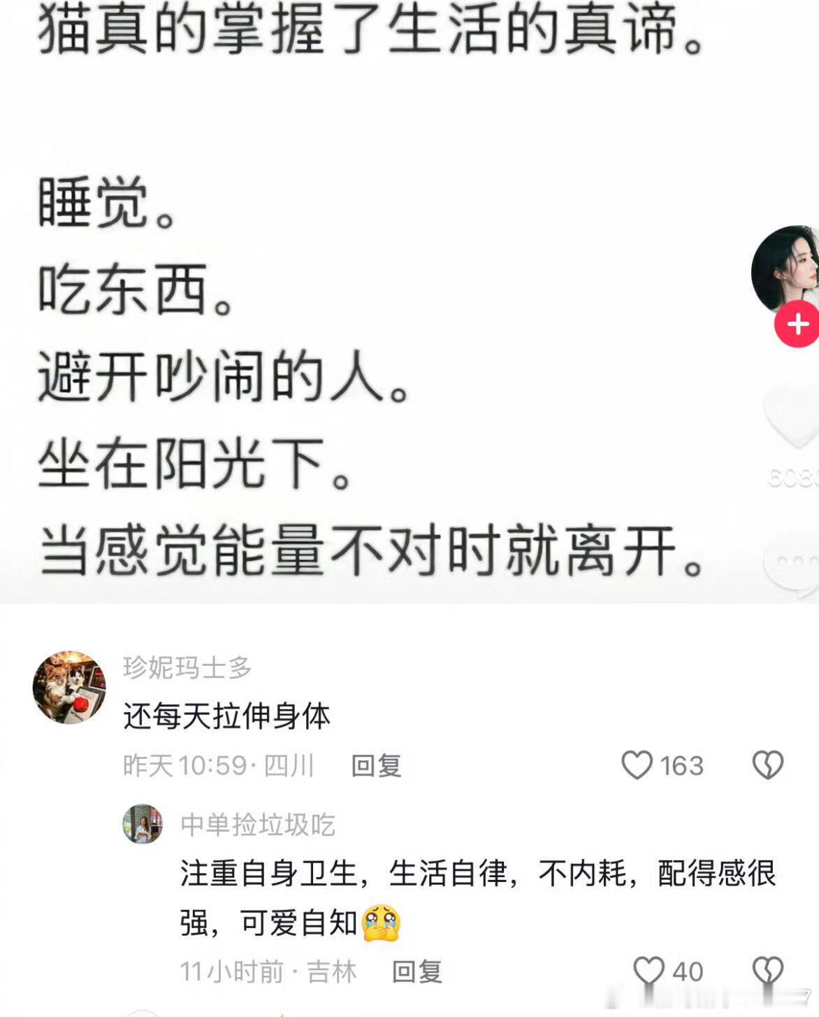 猫真的掌握了生活的真谛 桂哥评：活的最明白的小动物！ 