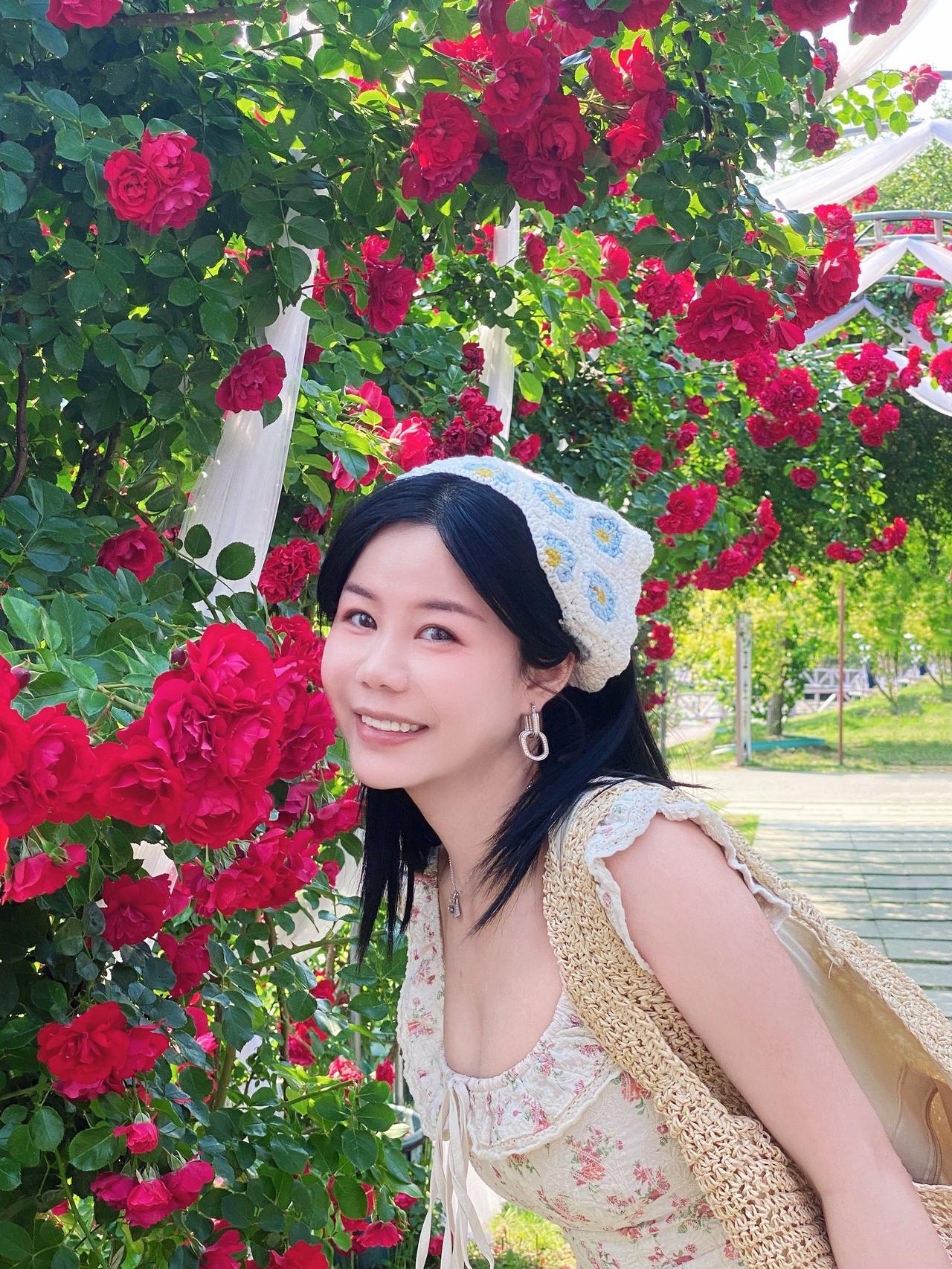 花海与小狗 花星球 玫瑰园 花墙女孩 拍到了春日限定花海照片