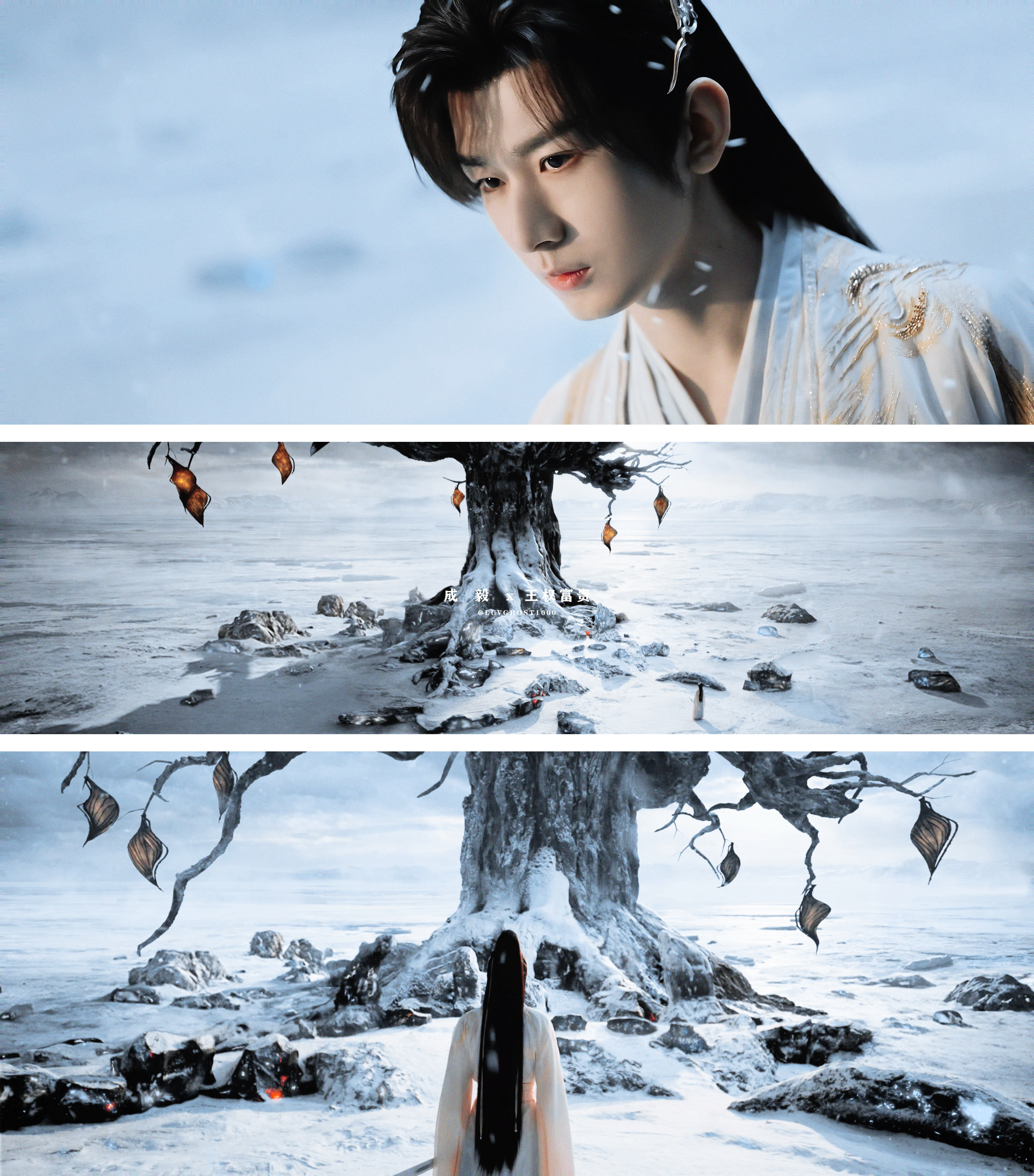 ⸝⸝           冰与蝶❄️🦋成毅王权富贵 （想贵儿了🥹我还没修完…