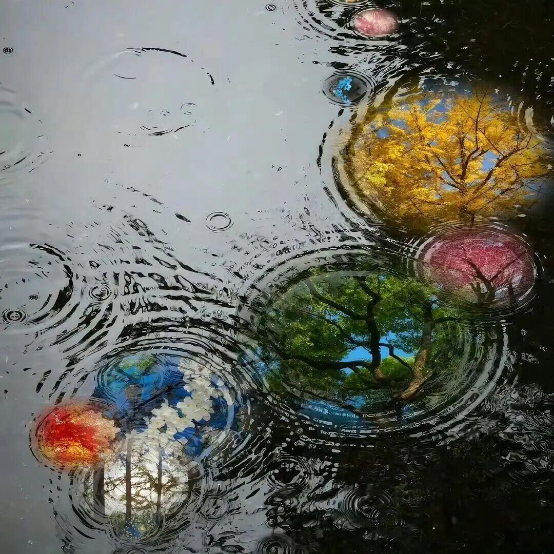 Background｜背景图 