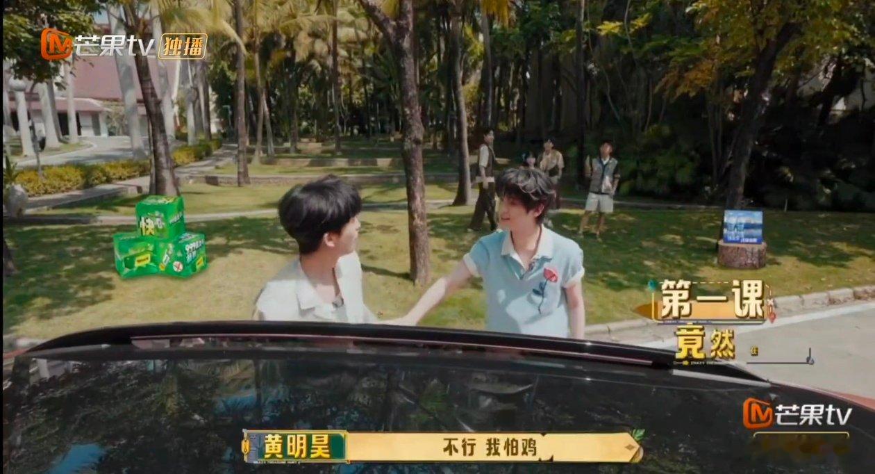 黄明昊会被杨迪的侧脸吓到吗忙忙碌碌寻宝藏 小鸡道具直接把黄明昊吓到后退，他直白说