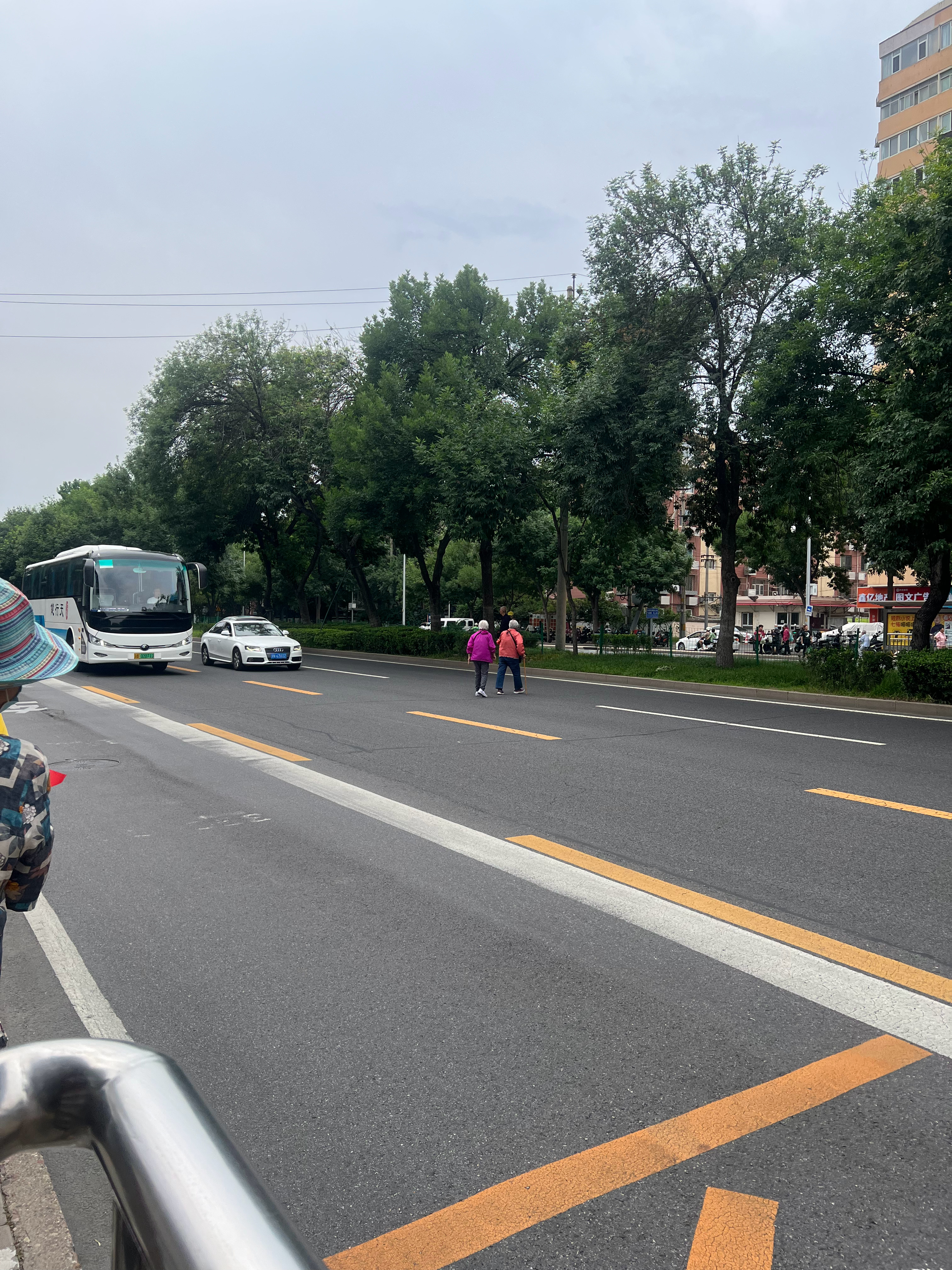 逼停路上所有车 