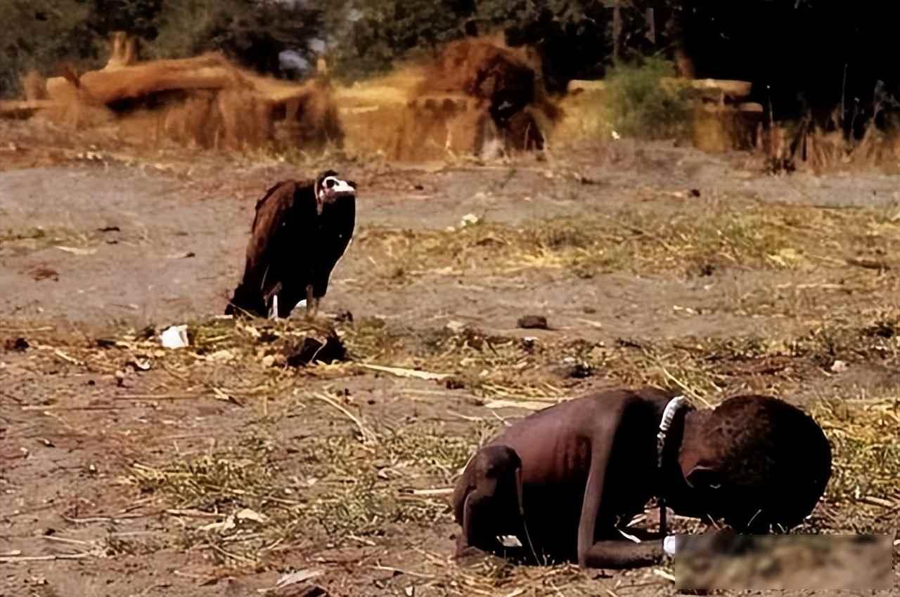 中国粮食储备够吃一年多，美国真能饿垮我们？战时系统早悄悄升级了

很多人听到中美