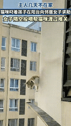 看着太心酸了，主人出门也太不靠谱了，幸好有热心人出手，给善良的人点赞。[赞]