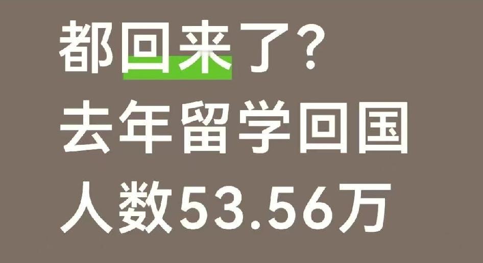 都回来了，2025年出国留学57万人，回国53.56万！

八十年代出国留学的，
