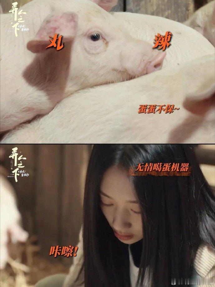 冯宝宝拆蛋专家 看《异人之下》里冯宝宝给猪绝育的场面，直接被震撼到！她可不是一般