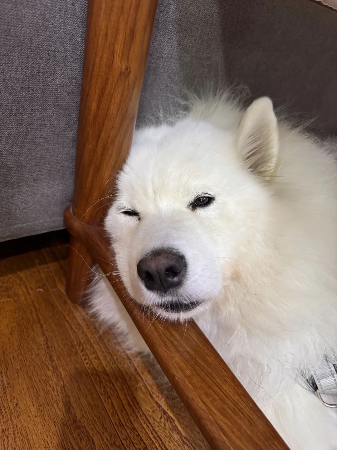 之前我有一个朋友非常非常爱熬夜