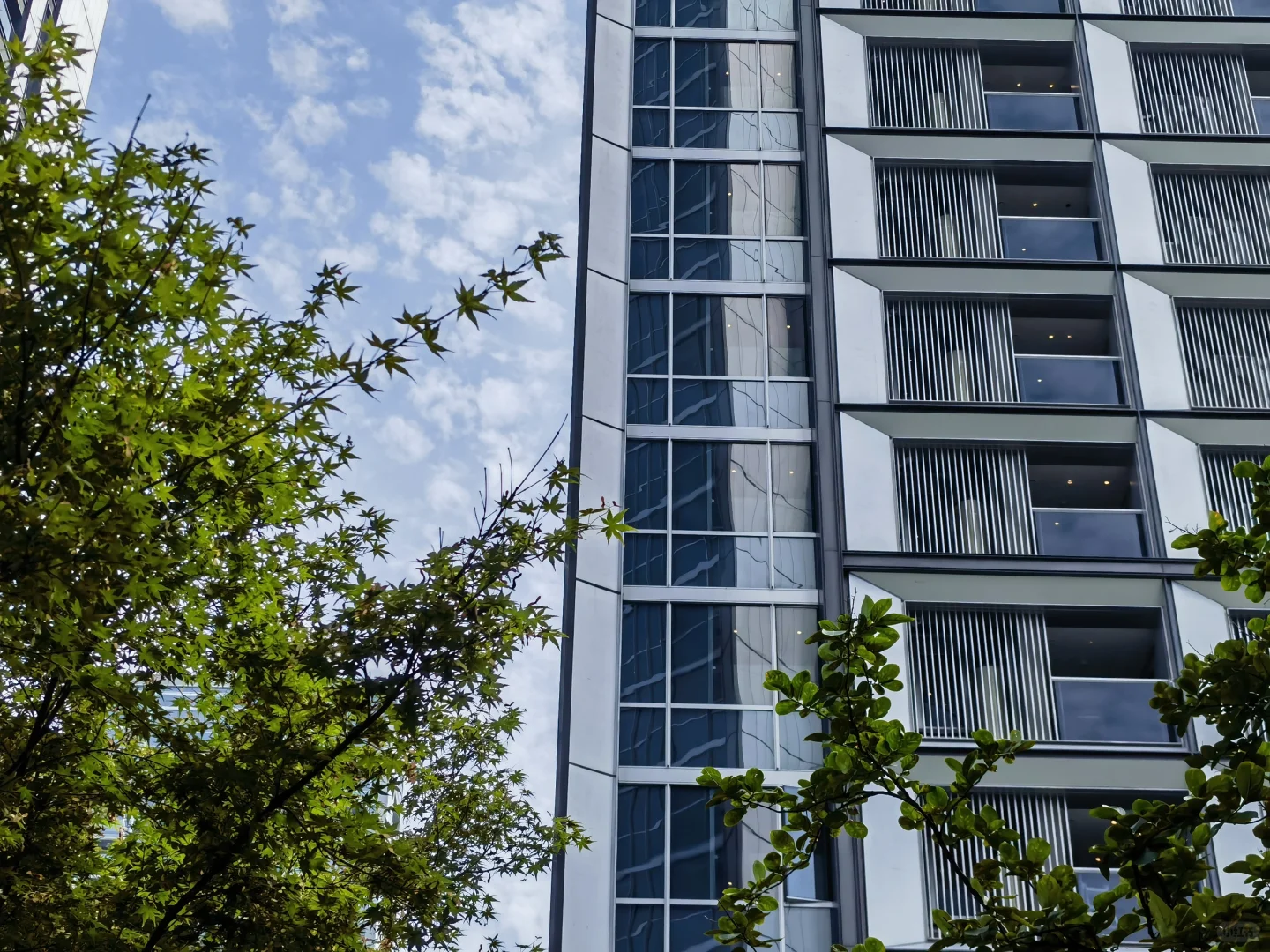 简评亚运村三兄弟