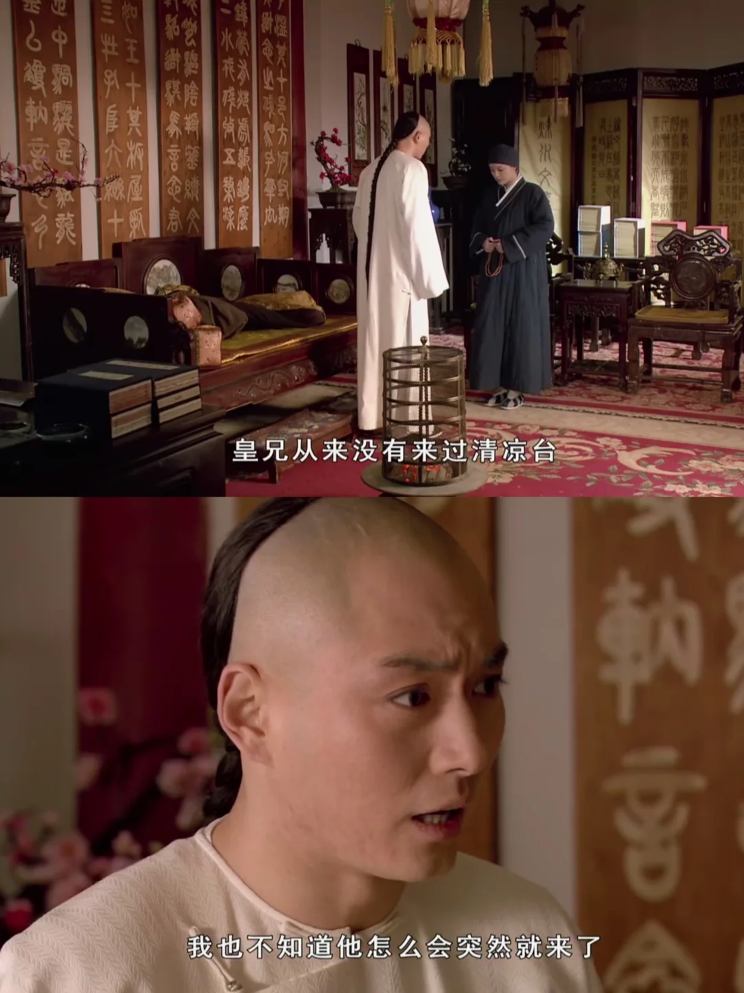 这么冷的天，胖橘为何带着胧月来清凉台？