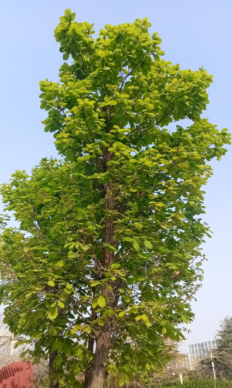 如果统一让台湾百姓过上好日子，这句话有点不明白，难道现在生活不如意？