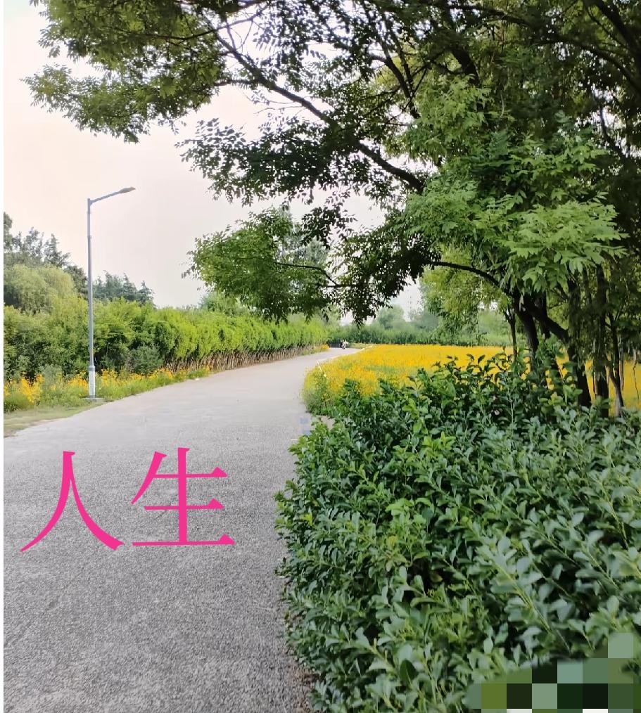 亲爱的，辛苦了！期待你劳逸结合，一睁眼过去的事就翻篇了，健康第一，活着就是幸福！