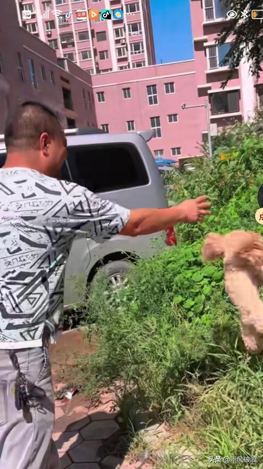 小主人浑身奇痒难耐，主人怪罪于小狗，称是小主人常抱它才惹出这祸事，是它把病传染给