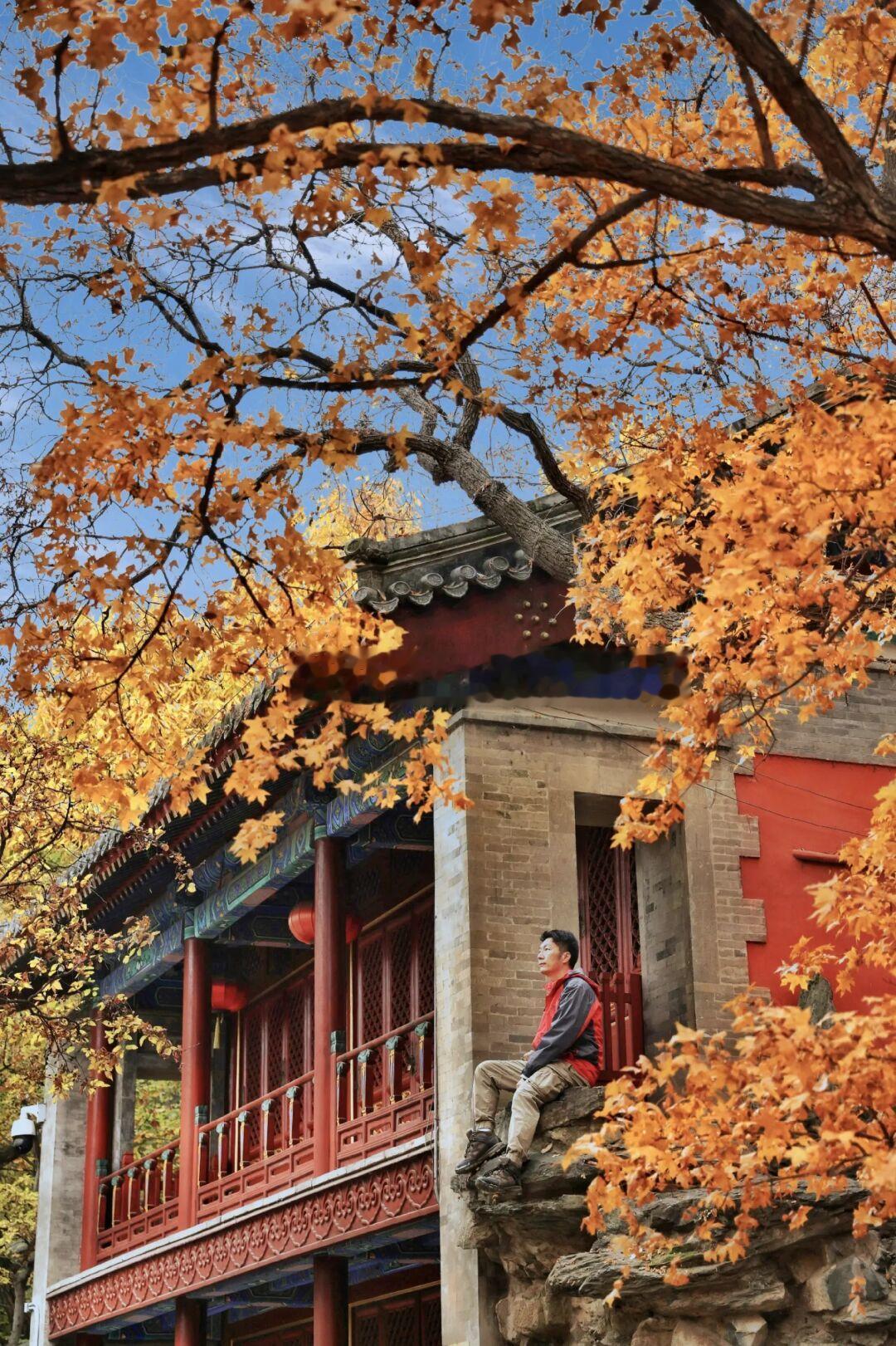 童话秋天！旅游博主推荐北京8大赏秋景景点