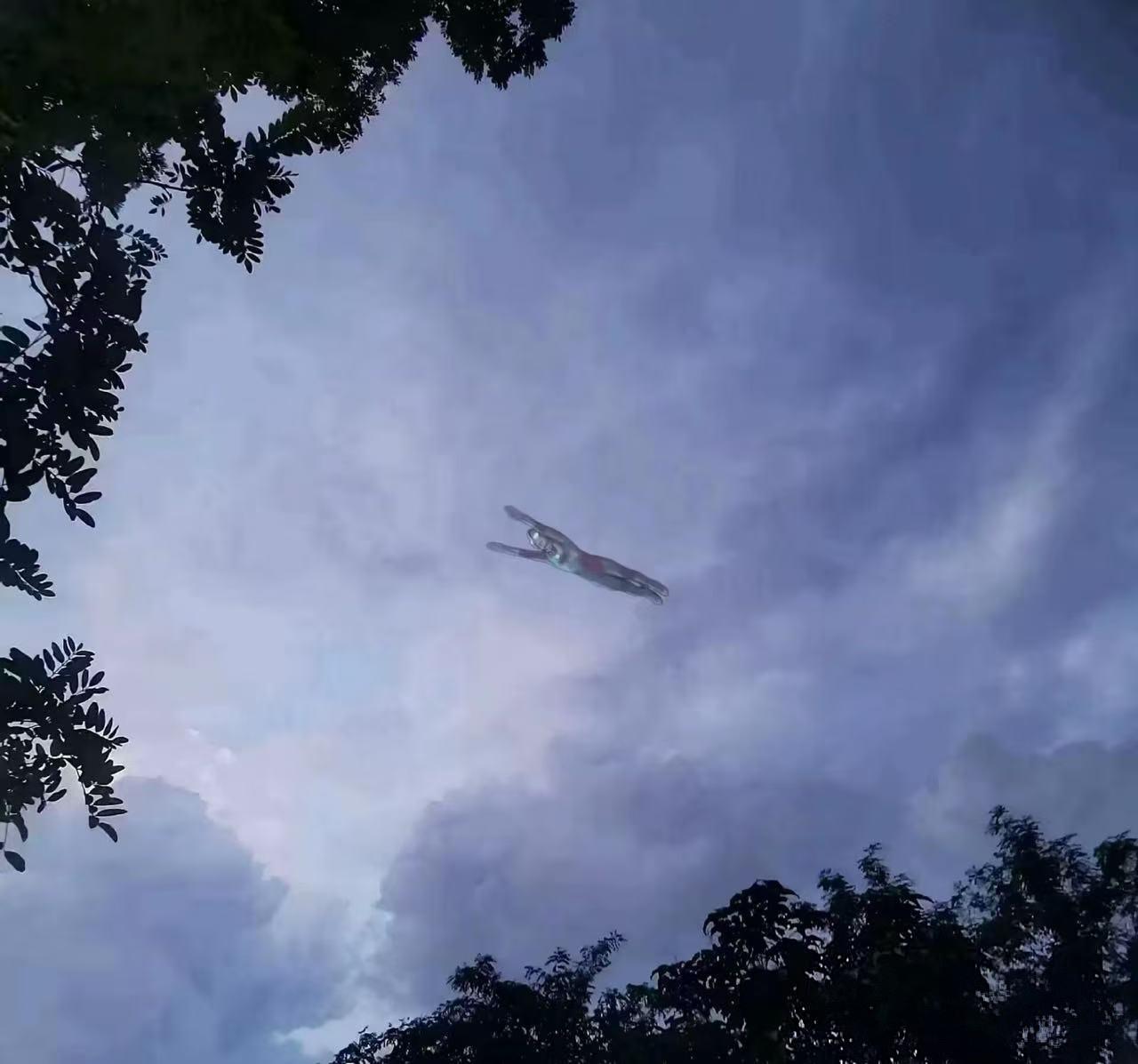 下午晒太阳的时候偶然拍到的