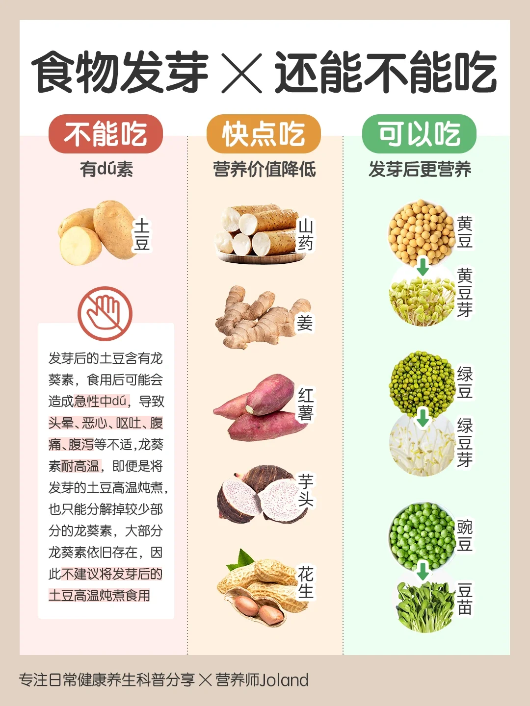 食物「红绿灯」🚥 | 他们发芽还能吃吗？